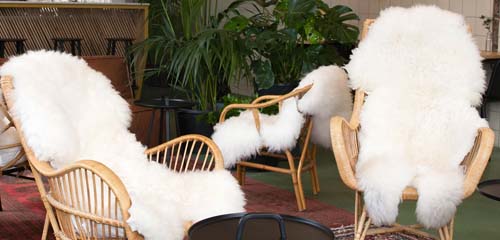 Weltevree Sheepskin Wit - Image 2