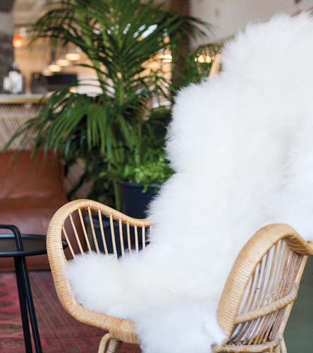 Weltevree Sheepskin Wit - Image 4